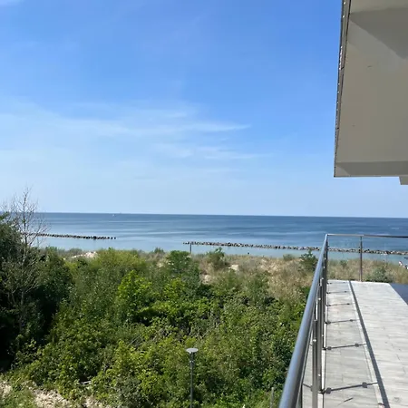 Amon Emilia Strupiechowska *